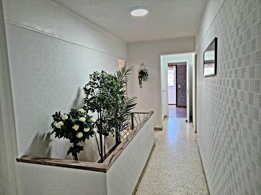 Villa Marseille Dans Les Hauteurs מראה חיצוני תמונה